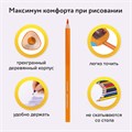 Карандаши цветные BRAUBERG PREMIUM, 36 цветов, трехгранные, грифель 3,3 мм, натуральное дерево, 181654 181654