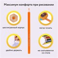 Карандаши цветные BRAUBERG PREMIUM, 36 цветов, шестигранные, грифель 3 мм, 181669 181669
