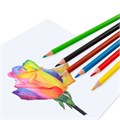Карандаши цветные BRAUBERG PREMIUM, 6 цветов, трехгранные, грифель 3,3 мм, натуральное дерево, 181650 181650