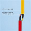 Карандаши цветные BRAUBERG, 12 цветов, шестигранные, грифель 3,3 мм, черное дерево, 181856 181856