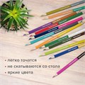 Карандаши цветные двусторонние BRAUBERG PREMIUM TWIN COLOUR, 24 штуки, 48 цветов, шестигранные, грифель 3,3 мм, натуральное дерево, 181875 181875