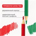 Карандаши цветные мягкие BRAUBERG АКАДЕМИЯ, 12 цветов, шестигранные, грифель 3 мм, натуральное дерево, 181864 181864