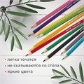 Карандаши цветные мягкие BRAUBERG АКАДЕМИЯ, 36 цветов, шестигранные, грифель 3 мм, натуральное дерево, 181867 181867