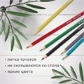 Карандаши цветные мягкие BRAUBERG АКАДЕМИЯ, 6 цветов, шестигранные, грифель 3 мм, натуральное дерево, 181863 181863