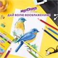 Карандаши цветные ЮНЛАНДИЯ "ДОМИКИ", 18 цветов, шестигранные, грифель 3 мм, 181837 181837