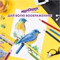 Карандаши цветные ЮНЛАНДИЯ "ДОМИКИ", 24 цвета, шестигранные, грифель 3 мм, 181838 181838