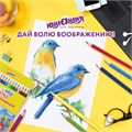 Карандаши цветные ЮНЛАНДИЯ "ДОМИКИ", 36 цветов, шестигранные, грифель 3 мм, 181839 181839