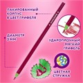 Карандаши цветные ЮНЛАНДИЯ "КАРНАВАЛ", 12 цветов, трехгранные, грифель 3 мм, 181684 181684