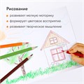 Карандаши цветные ЮНЛАНДИЯ "ТРОПИКИ", 12 цветов, с РАСКРАСКОЙ, трехгранные, грифель 3 мм, натуральное дерево, 181647 181647