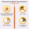 Карандаши цветные ЮНЛАНДИЯ "ТРОПИКИ", 12 цветов, с РАСКРАСКОЙ, трехгранные, грифель 3 мм, натуральное дерево, 181647 181647