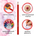 Карандаши цветные акварельные BRAUBERG "АКАДЕМИЯ", 24 цвета, шестигранные, грифель 3 мм, натуральное дерево, 181400 181400