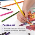 Карандаши цветные акварельные BRAUBERG "АКАДЕМИЯ", 24 цвета, шестигранные, грифель 3 мм, натуральное дерево, 181400 181400