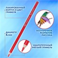Карандаши цветные акварельные BRAUBERG PREMIUM AQUARELLE 36 цветов в тубе, трехгранные, утолщенный грифель 4 мм, натуральное дерево,181933 181933