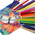 Карандаши цветные акварельные BRAUBERG PREMIUM AQUARELLE, 24 цвета, трехгранные, утолщенный грифель 4 мм, натуральное дерево, 181673 181673
