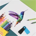 Ластик BRAUBERG "ULTRA COLOR", 57х24х15 мм, ассорти, черный пластиковый футляр, 229562 229562