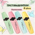 Набор текстовыделителей BRAUBERG 4 шт., АССОРТИ, "DELTA PASTEL", линия 1-5 мм, 151735 151735