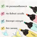 Набор текстовыделителей BRAUBERG 4 шт., АССОРТИ, "DELTA PASTEL", линия 1-5 мм, 151735 151735