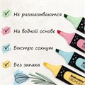 Набор текстовыделителей BRAUBERG 4 шт., АССОРТИ, "EXTRA PASTEL", прорезиненный корпус, линия 1-5 мм, 151756 151756