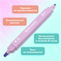 Набор текстовыделителей двусторонних 6 ПАСТЕЛЬНЫХ ЦВЕТОВ, BRAUBERG "Macaroon", линия 1-5 мм, 152513 152513