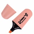 Текстовыделитель мини BRAUBERG "PASTEL Mini", АССОРТИ В ПЛАСТИКОВОЙ БАНКЕ, линия 1-5 мм, 152432 152432