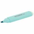 Текстовыделитель ЮНЛАНДИЯ "COLORSTAR PASTEL", БИРЮЗОВЫЙ, линия 1-4 мм, 151713 151713