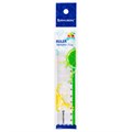Линейка пластиковая 15 см BRAUBERG "FRESH ZONE", прозрачная, с салатовой шкалой, 210748 210748