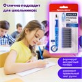 Ручка перьевая с 10 сменными картриджами BRAUBERG "DELTA", эргономичный корпус, иридий, 143954 143954