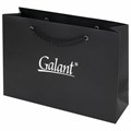 Ручка перьевая GALANT Versus, корпус золотистый, ежедневник недатированный А5 черный, пакет, 880906 880906