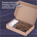Ручка перьевая GALANT Versus, корпус золотистый, ежедневник недатированный А5 черный, пакет, 880906 880906