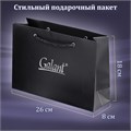 Ручка шариковая GALANT "Marburg", корпус серебристый, ежедневник недатированный А5 черный, пакет, 880905 880905