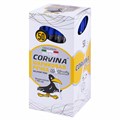 Ручка шариковая CORVINA (Италия) "51 Classic", СИНЯЯ, корпус прозрачный, узел 1 мм, линия письма 0,7 мм, 40163/02 140300