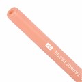 Ручка шариковая РОССИЯ "PATRIOT PASTEL", СИНЯЯ, корпус ассорти, 0,7 мм, линия письма 0,35 мм, BRAUBERG, 143967 143967