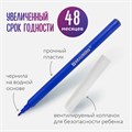 Фломастеры в тубе классические 24 цвета, вентилируемый колпачок, BRAUBERG "PREMIUM", 152199 152199