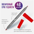 Фломастеры двусторонние BRAUBERG "PREMIUM" "DUAL-TIP", 10 шт., 10 цветов, два наконечника, картонная коробка с европодвесом, 151946 151946