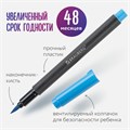 Фломастеры с наконечником-кистью 12 цветов, вентилируемый колпачок, BRAUBERG "PREMIUM", 152195 152195