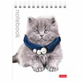 Блокнот МАЛЫЙ ФОРМАТ А6 110х145 мм, 40 л., гребень, лакированная обложка, клетка, HATBER, "Милые Котята", 004667, 40Б6B1гр 121503