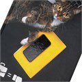 Блокнот А5 (135х206 мм), 80 л., твердый, выборочный лак, клетка, STAFF, "Милый котик", 111603 111603