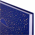 Блокнот А5 134х206 мм, 80 л., твердый, клетка, тиснение фольгой, BRAUBERG, "Кошечка", 126051 126051