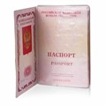 Обложка для листа паспорта КОМПЛЕКТ 60 штук, ПВХ, прозрачная, STAFF, 237596 237596