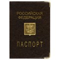 Обложка для паспорта, металлический шильд с гербом, ПВХ, ассорти, STAFF, 237579 237579