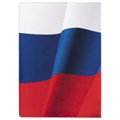 Обложка для паспорта, ПВХ, триколор, STAFF, 237581 237581