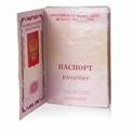 Обложка-чехол для защиты каждой страницы паспорта КОМПЛЕКТ 10 штук, ПВХ, прозрачная, STAFF, 237963 237963