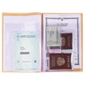 Папка для семейных документов с файлами (паспорта, свидетельства, полисы, СНИЛС) STAFF, 16 отделений, ПВХ, бежевая, 237808 237808