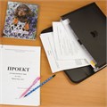 Папка для бумаг и документов с замком и 13 отделениями BRAUBERG "HIT", А4, пластик, черная, 229572 229572