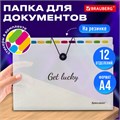 Папка-органайзер на резинке 12 отделений, BRAUBERG "Glassy", А4, прозрачная, 271929 271929
