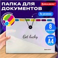 Папка-органайзер на резинке 8 отделений, BRAUBERG "Glassy", А4, прозрачная, 271928 271928