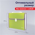 Папка-портфель пластиковая BRAUBERG "JOY", А4 (330х245х35 мм), 13 отделений, с окантовкой, салатовая, 227974 227974