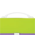 Папка-портфель пластиковая BRAUBERG "JOY", А4 (330х245х35 мм), 13 отделений, с окантовкой, салатовая, 227974 227974