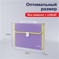 Папка-портфель пластиковая BRAUBERG "JOY", А4 (330х245х35 мм), 13 отделений, с окантовкой, фиолетовая, 227977 227977
