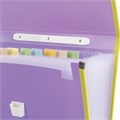 Папка-портфель пластиковая BRAUBERG "JOY", А4 (330х245х35 мм), 13 отделений, с окантовкой, фиолетовая, 227977 227977